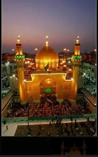 زائر کربلام آقا هستم