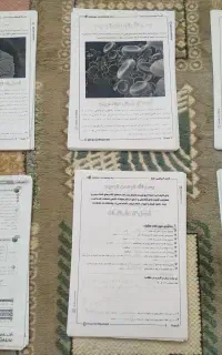 جزوات دهم تجربی استاد جشانی 1405