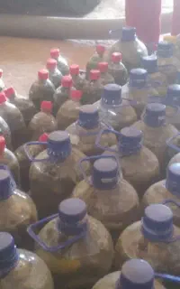 خیارشور