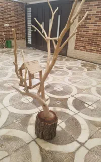 درختچه چوبی