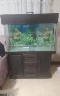 آکواریوم