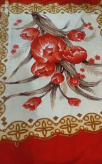 چندتعدادپتوباکم ترین قیمت