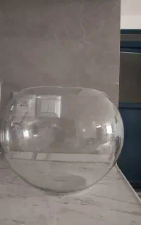 تنگ