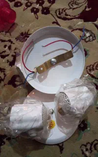 لوستر دوقلو هستن نو نو
