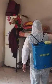 سم پاشی حشرات سوسک ساس موریانه ۱۰۰%تضمینی موش