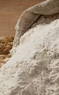 نشاسته گندم دامی