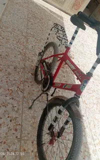 درچابهار