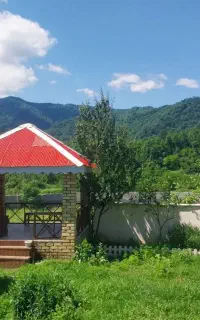 دربست حیاط دارجنگلی نزدیک رودخانه و۴کیلومتری گیسوم