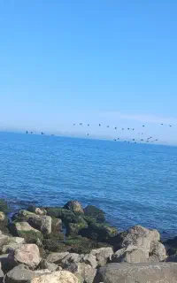 سفر به شمال کشور