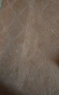 موکت