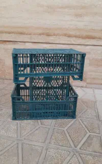 سبد میوه