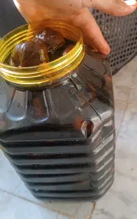 سیر ترشی
