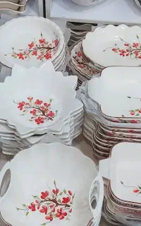 ظروف اقساط ماهی 10 هزار