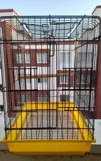 قفس کاسکویی