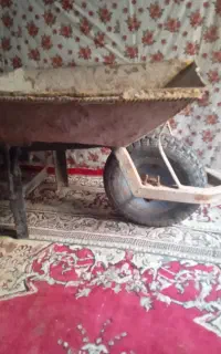 فرغون‌بنایی