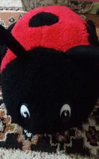 عروسک کفشدوزک