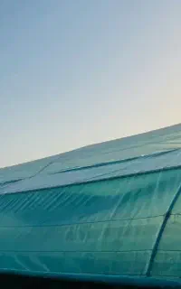 فروش پلاستیک گلخانه
