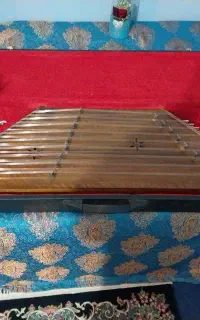 سنتور زیبا سالم