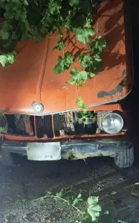 بی ام و 2002برای باز سازی