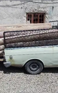 استخدام راننده وانت در قالیشویی