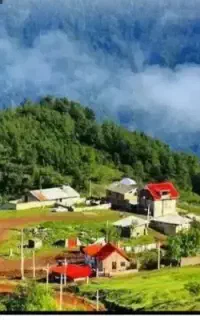 تشکیل گروه طبیعت گردی