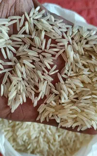سفارش برنج پذیرفته میشود