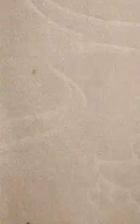 موکت