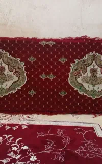 شش عدد پشتی