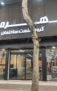 مسئول اداری فروش (خانم)