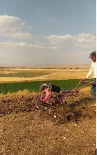 تیلر زمین زعفران