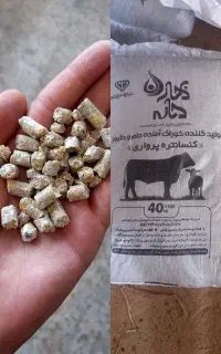 کنسانتره پروار و شیری  شرطی دامداران  ۵۰ ت