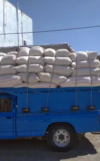 کاه نخود