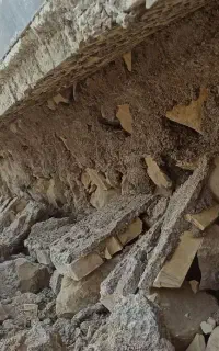 استاد تخریب کاری