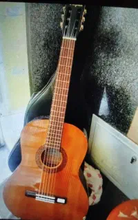 گیتار هافنر