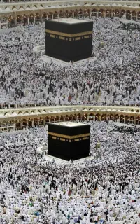 فیش عج عمره