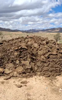 کود گوسفندی فروشی