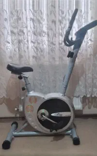 دوچرخه ثابت