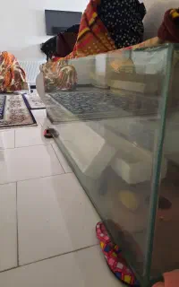 اکواریوم
