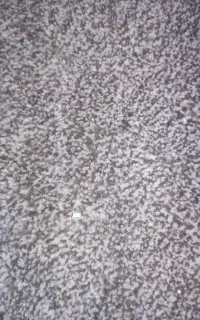 موکت پرز دار پالاز