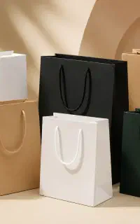 بگ مقوایی