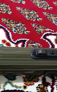 چراغ کلکسوینی امریکایی اصل