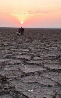 کویر گردی و خدمات افرود