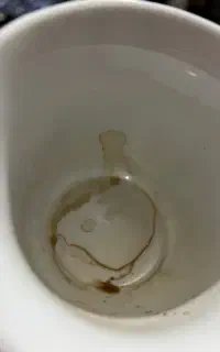 فال و سرکتاب