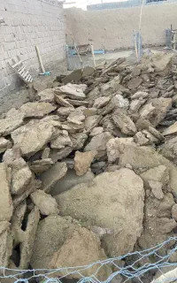 کود گوسفندی پوسیده