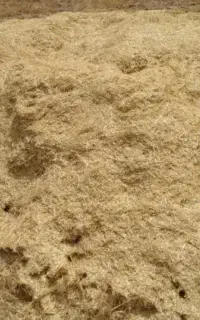 گندم و کاه گندم