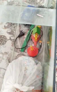 اکواریوم با حباب ساز و شن پمپ هوا دو لولو شیلنگ آب