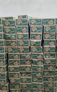 پخش کیک کلوچه پچ پچ معینی پور ویفر آناتا