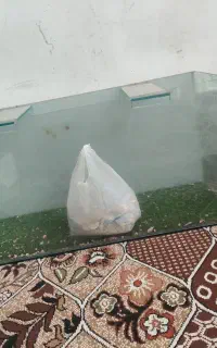 آکواریوم نو
