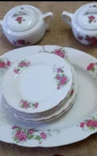 تعدادی ظرف فروشی گل سرخی ژاپن