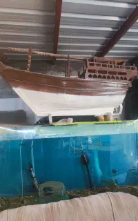 فروش لنج چوبی و آکواریوم